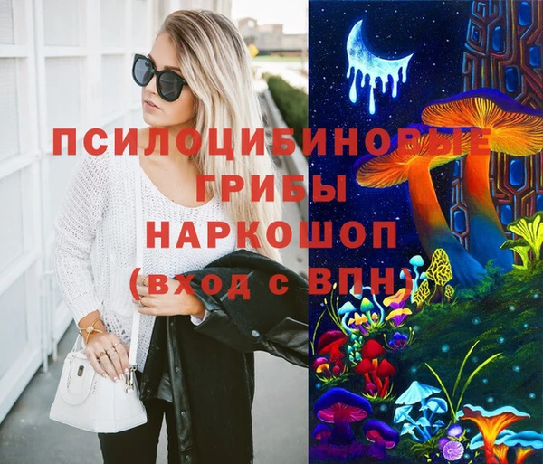 spice Нягань