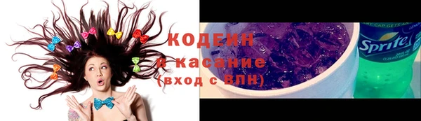 амф Няндома