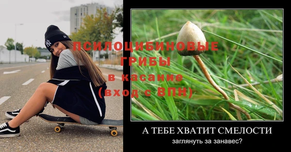 spice Нягань