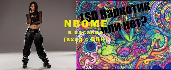 амф Няндома