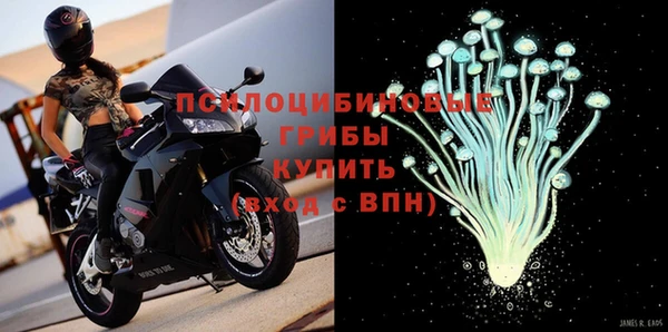 spice Нягань