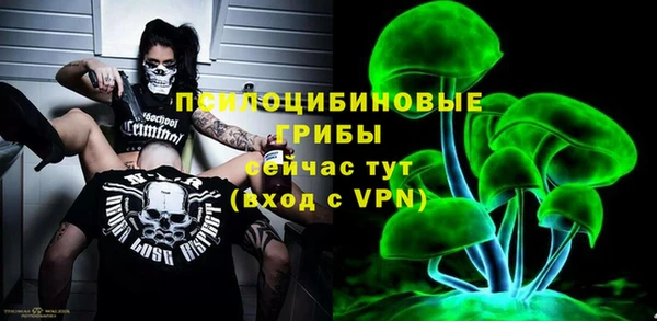 амф Няндома