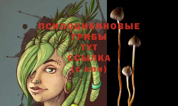 амф Няндома